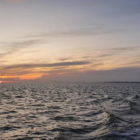 Steinpicker * Dornum