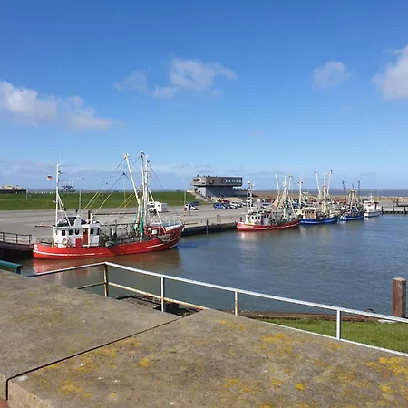 Steinpicker 펜션 *