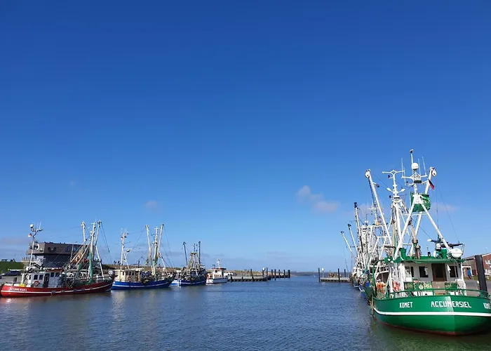 Steinpicker Semesterbostad